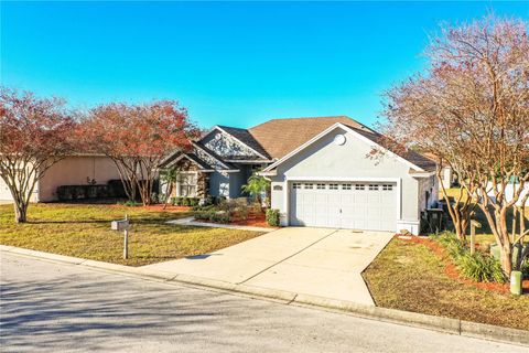 6358 ALAMANDA HILLS DRIVE LAKELAND FL 33813