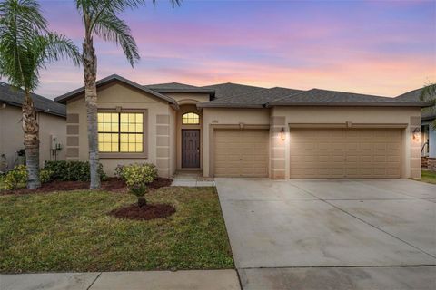 A home in RIVERVIEW