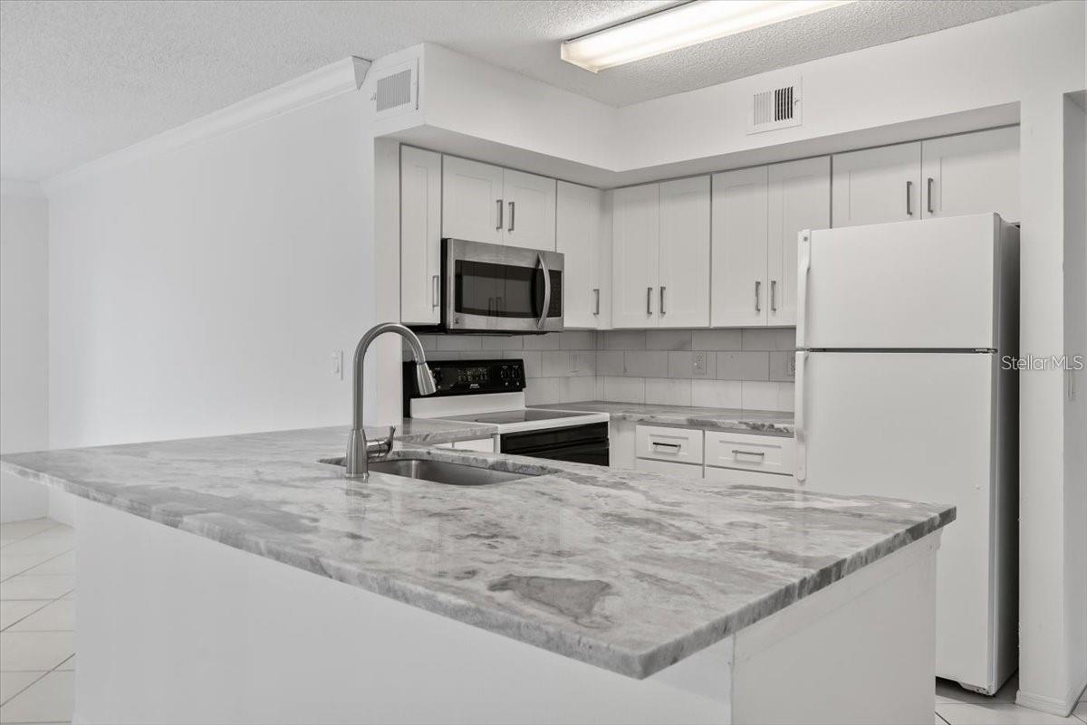 AUDUBON CONDO AT FEATHER SOUND - Residential Lease