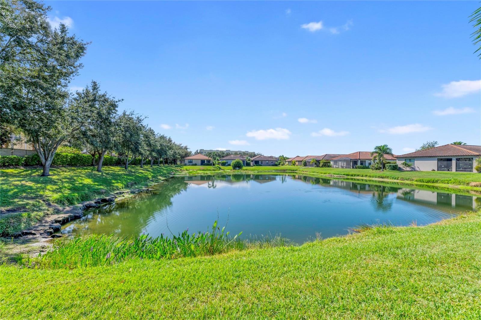 UNIVERSITY GROVES ESTATES RESERVE - Residential