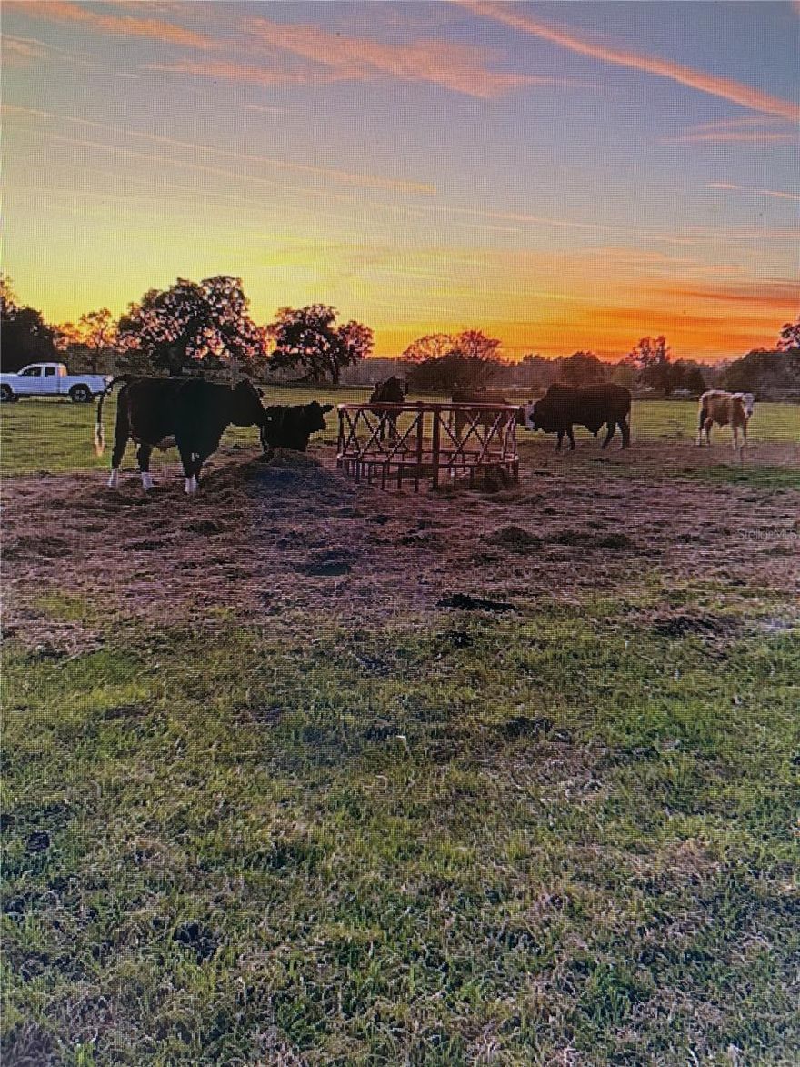 Versatile 7.5-Acre Parcel in Anthony, Florida – Fenced, Cleared, and Ready to Build
This fully fenced 7.5-acre L-shaped parcel in Anthony, Florida offers dual paved road access and is high, dry, and completely cleared. With electricity on-site and feed stations already in place, it’s ideal for a custom home, livestock, or equestrian use.
Available individually or combined with an adjacent 7.5-acre lot for 15 acres total. Located near the Ocala Equestrian Center and close to shops, dining, and entertainment—rural living meets modern convenience!