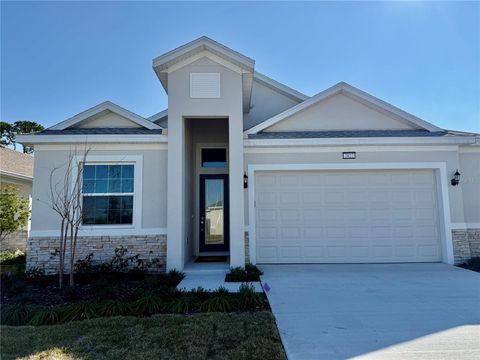 A home in MOUNT DORA