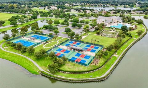 A home in MOUNT DORA