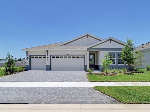 Photo of 33496 Twilight Sea Place, Dade City, FL 33525 (MLS # TB8476923)