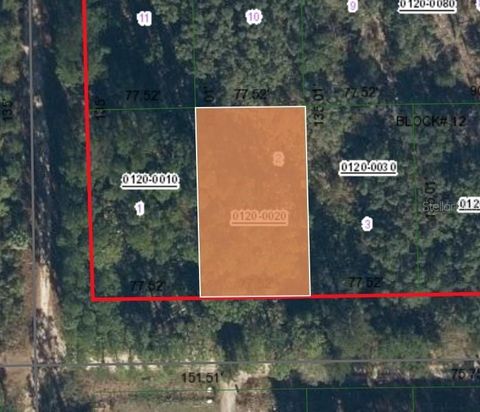 213 HIGHLINE TRAIL SATSUMA FL 32189
