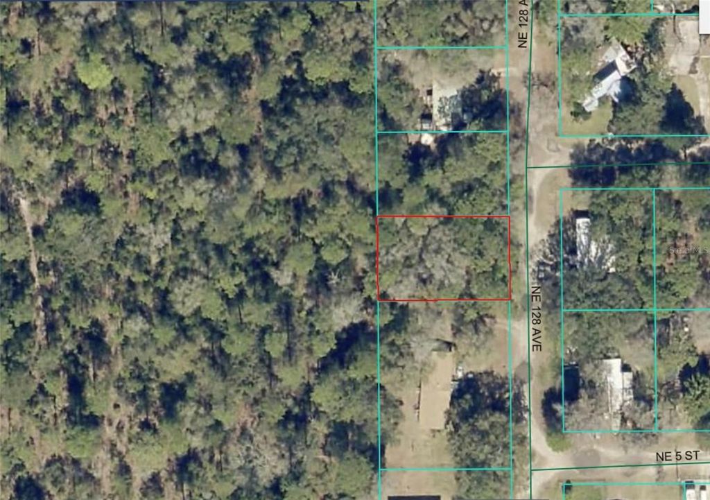 Photo of 8 NE 128th Avenue, Silver Springs, FL 34488 (MLS # OM711407)