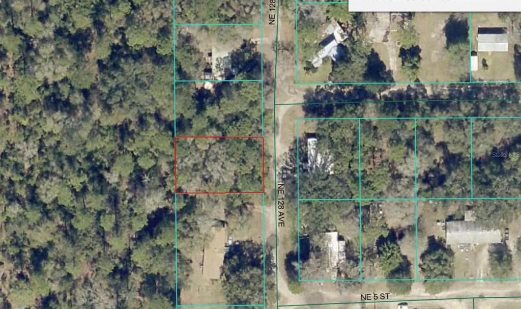 Photo of 8 NE 128th Avenue, Silver Springs, FL 34488 (MLS # OM711407)