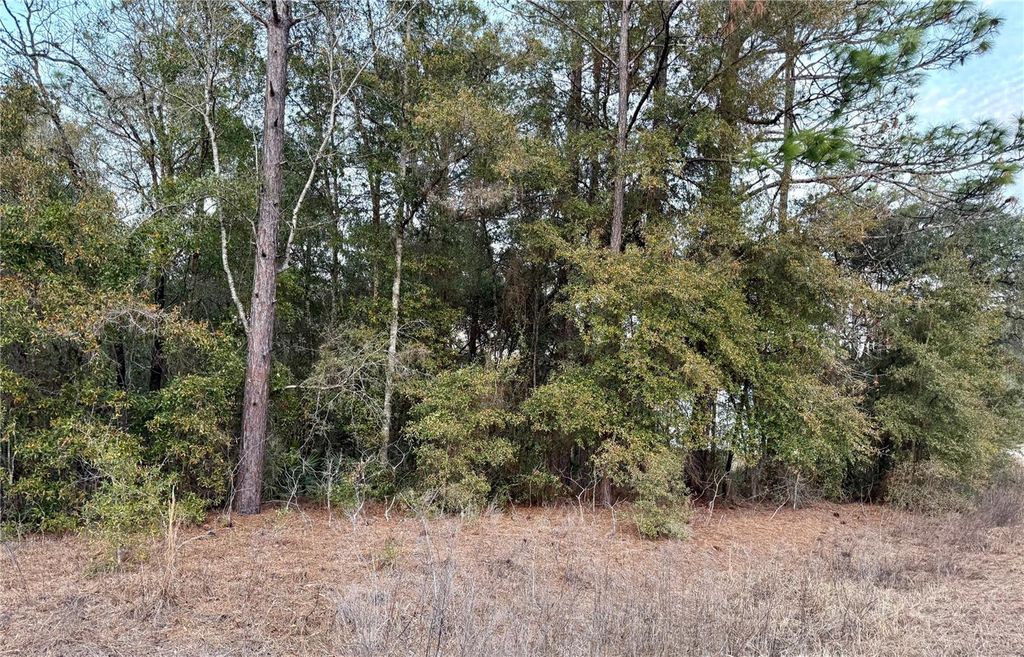 Photo of SW 129th Terrace Road, Ocala, FL 34481 (MLS # O6382328)