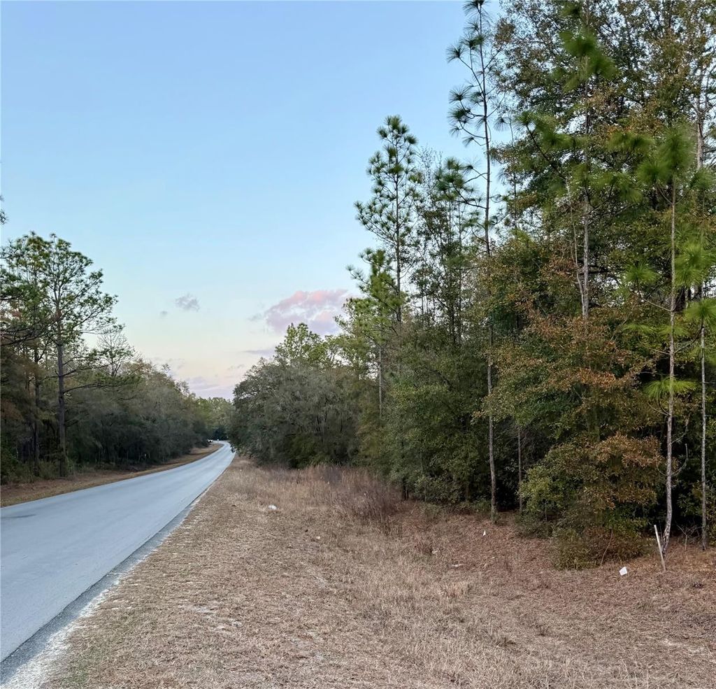 Photo of SW 129th Terrace Road, Ocala, FL 34481 (MLS # O6382328)