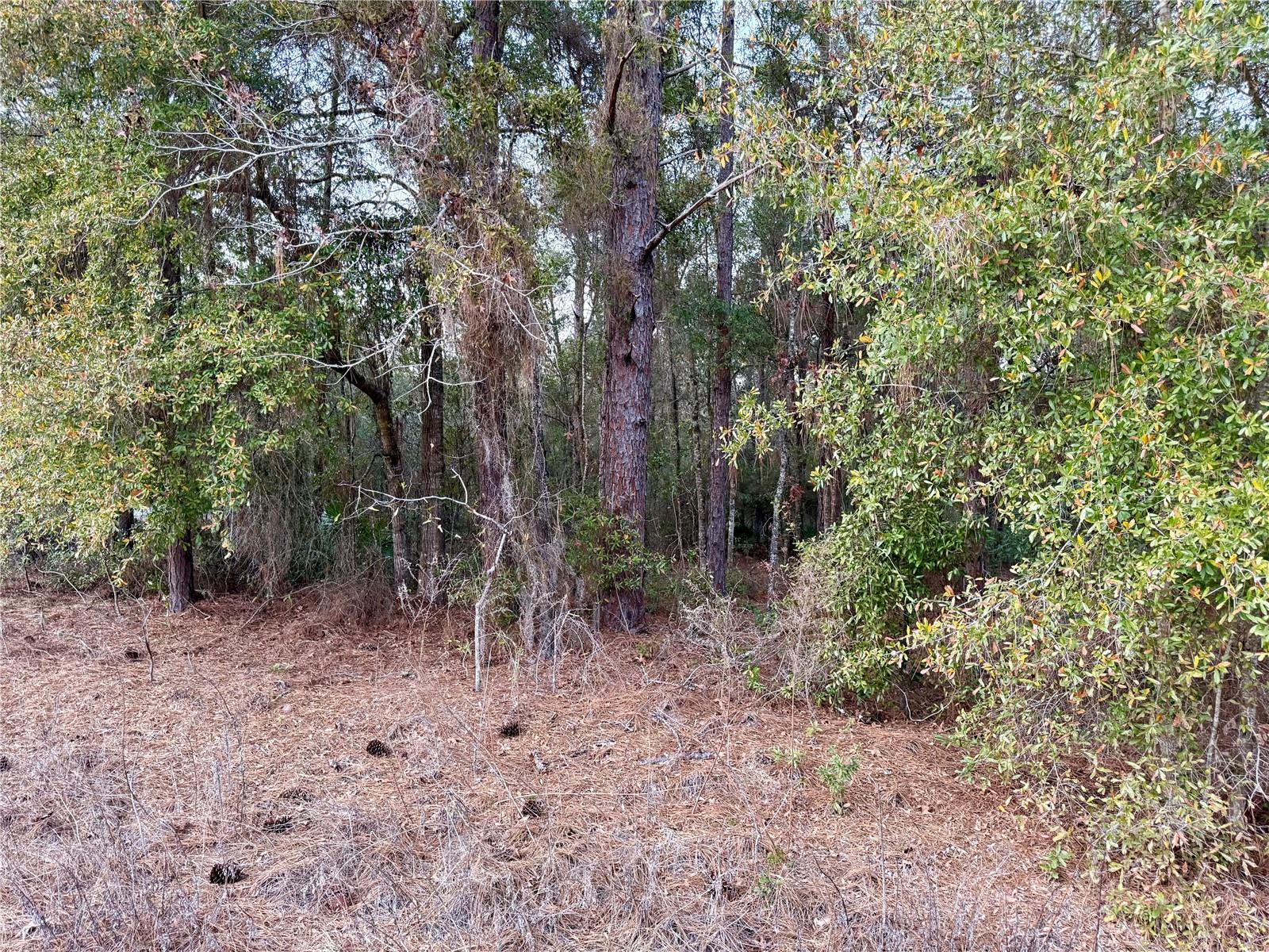 SW 129TH TERRACE ROAD