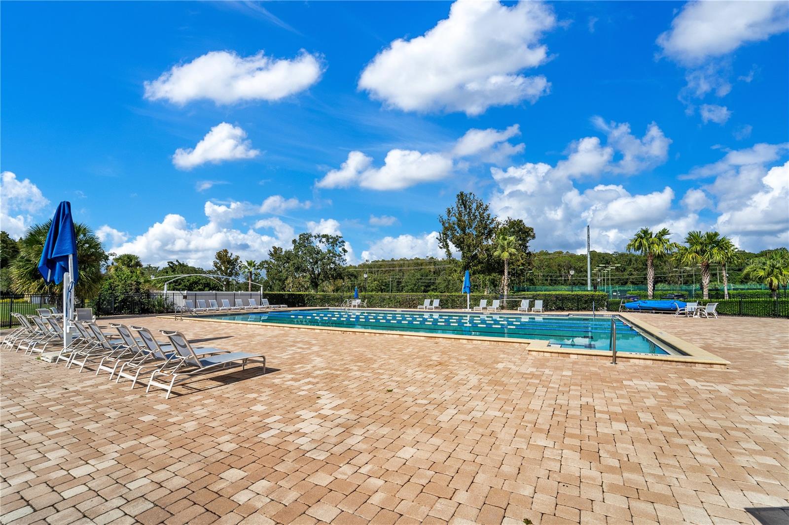TAMPA PALMS AREA 2 UNIT 5B - Residential