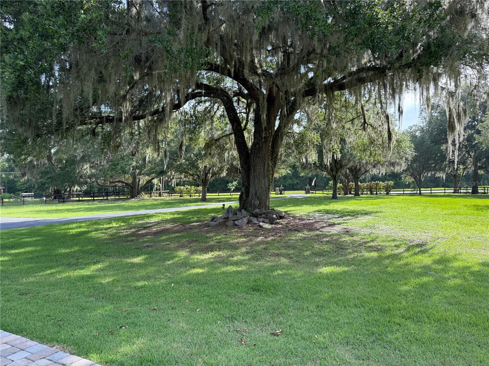 ASHLEY OAKS - Residential