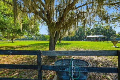 Tiny photo for 12501 N Us Highway 27, Ocala, FL 34482 (MLS # OM716524)