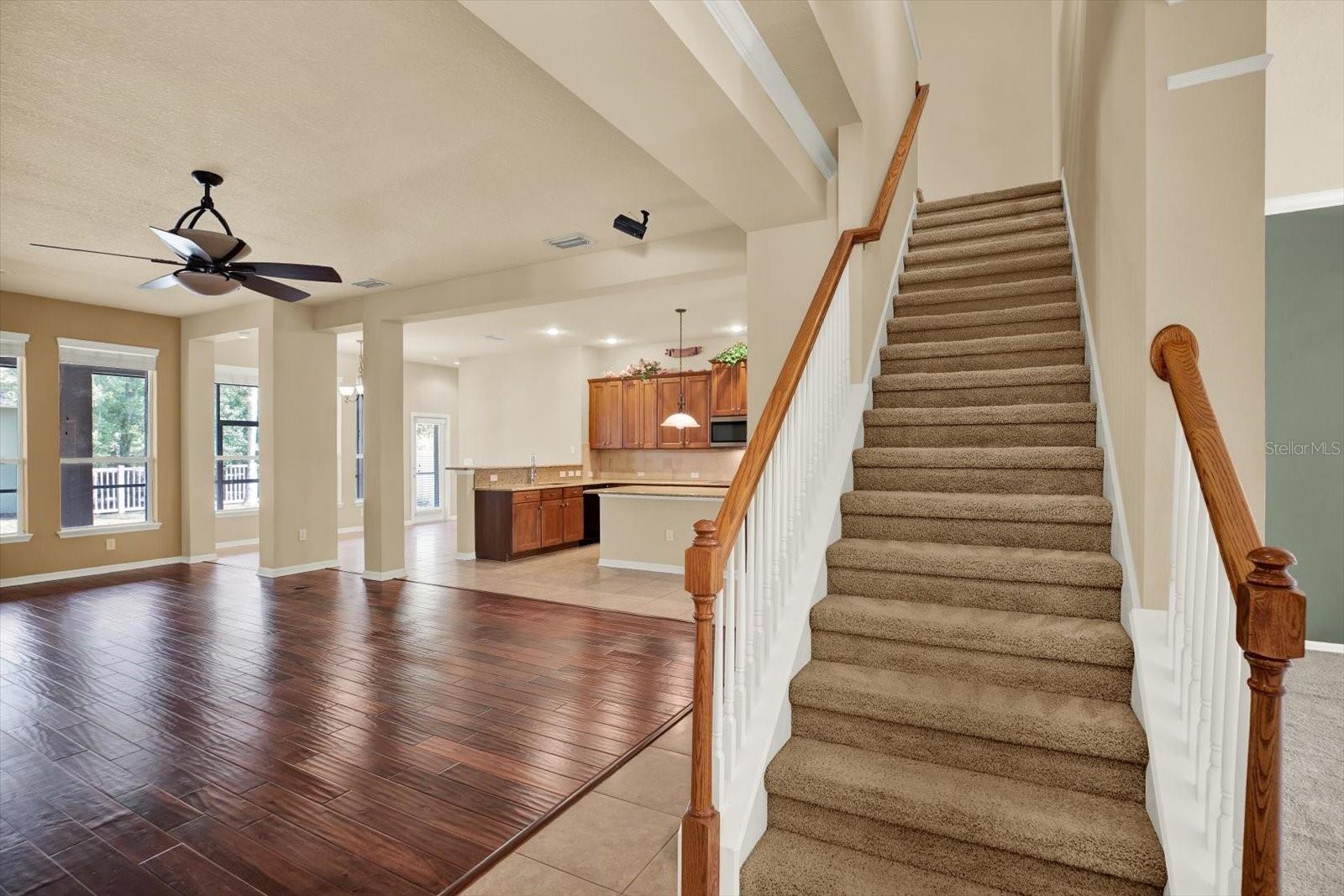 WILDERNESS LAKE PRESERVE - Residential