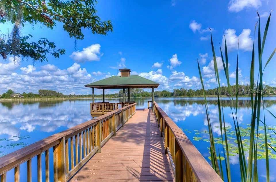 Photo of 7018 Cardinalwood Lane, Land O Lakes, FL 34637 (MLS # TB8492737)
