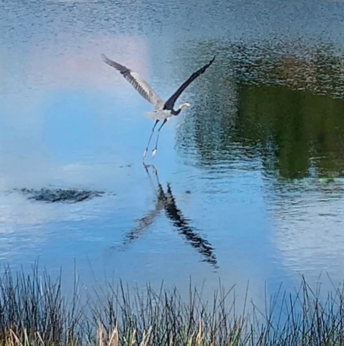 SOUTHWOOD SEC B - Residential