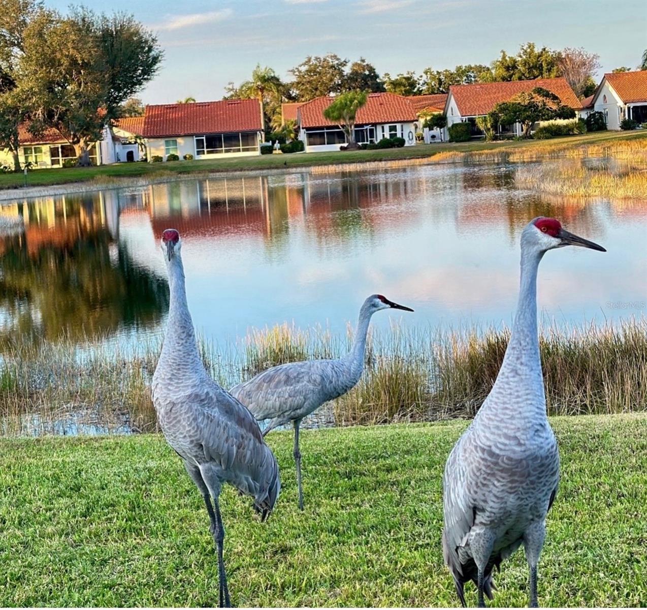 SOUTHWOOD SEC B - Residential