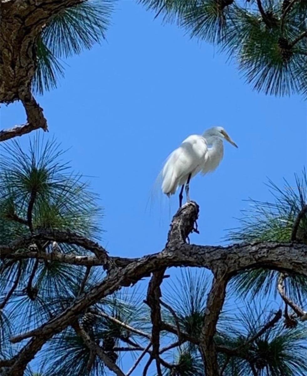 SOUTHWOOD SEC B - Residential