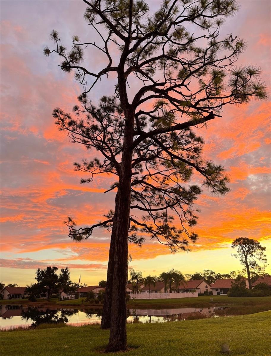 SOUTHWOOD SEC B - Residential