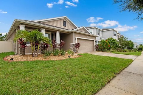 5006 JACKEL CHASE DR WIMAUMA FL 33598