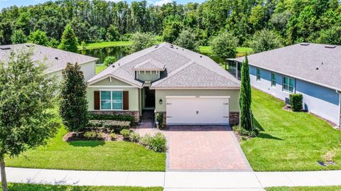 17834 BLAZING STAR CIRCLE CLERMONT FL 34714