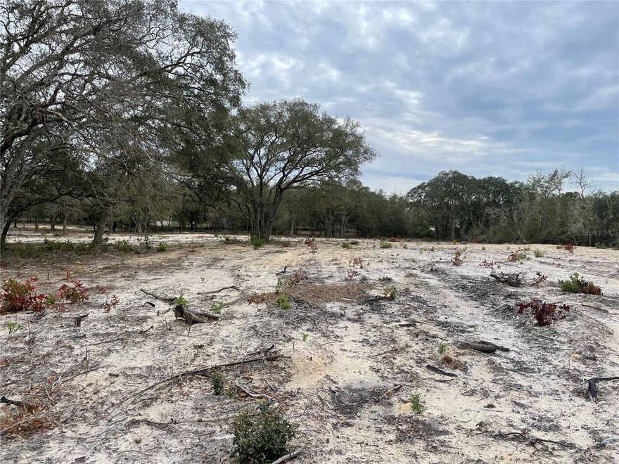 Are you looking for a high and dry lot that is not to big to manage, allows manufactured homes and is just a block off of the paved road.   Are you looking for a mostly cleared lot with no HOA, surveyed and ready to start building.  Then you have found it!  Contact me today by text or phone to get started on making your dreams come true.  Do you need a lender?  We got one that will lend on this property.   Contact me today and start making your dreams come true!