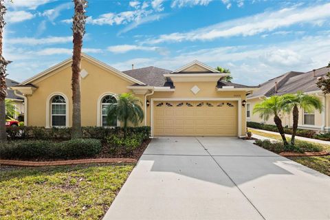 A home in LAND O LAKES