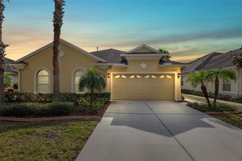 A home in LAND O LAKES