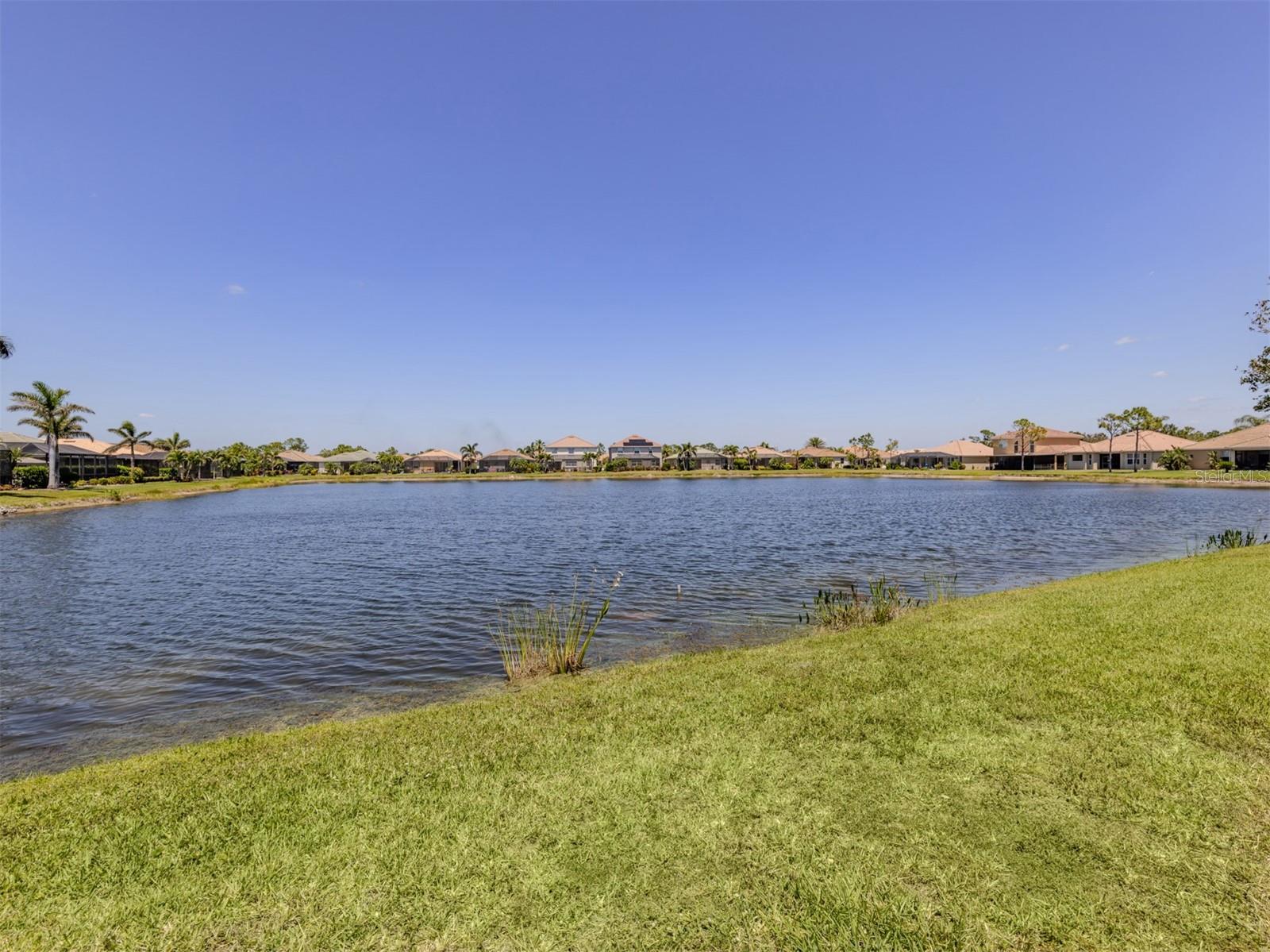 STONEYBROOK AT VENICE - Residential