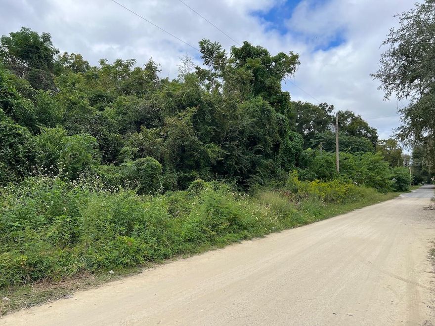 Wooded lot offers the perfect opportunity to build your dream home or invest in a growing area of Levy Cpounty. Located just one block from CR 318, east of Williston, the property sits on a quiet dead end street with minimal traffic. New construction just across the street, a clear sign of increasing demand for housing. Naturally wooded, the lots offers plenty of shade and privacy for your new home. With convenient access to major roadways, you can easily access Gainesville or Ocala from this location. And no HOA, giving you the freedom to have a mobile home or a site built home on the property. Whether you are looking to break ground or looking to secure a land investment, this one offers possibilities. Land can be divided in to 2 lots, should you prefer to purchase one lot.
