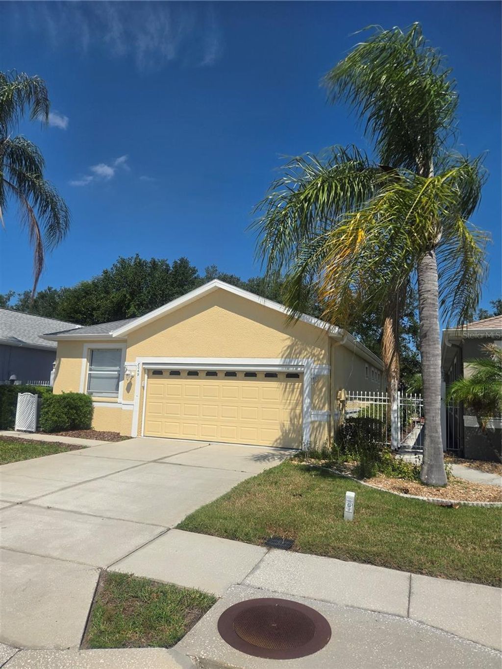 Photo of 8049 Sanguinelli Road, Land O Lakes, FL 34637 (MLS # W7882148)