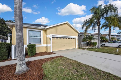 Photo of 8049 Sanguinelli Road, Land O Lakes, FL 34637 (MLS # W7882148)