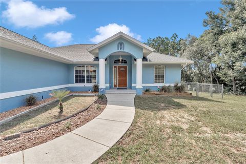 A home in CITRUS SPRINGS