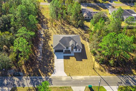 A home in CITRUS SPRINGS