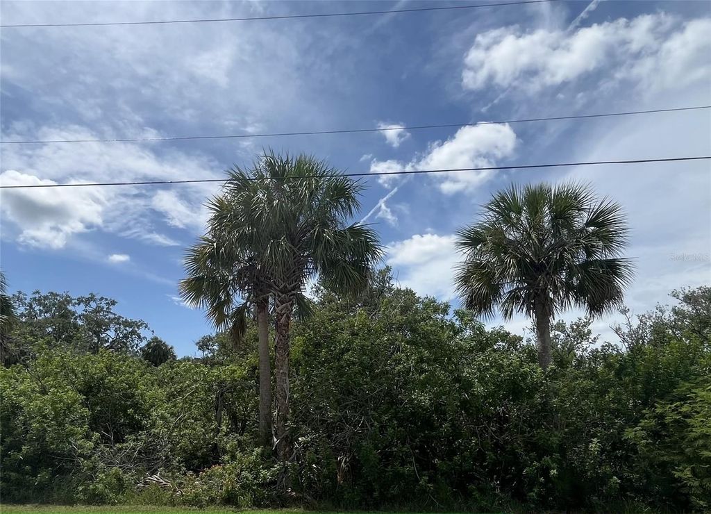 Photo of Betty Street, Port Richey, FL 34668 (MLS # W7878174)