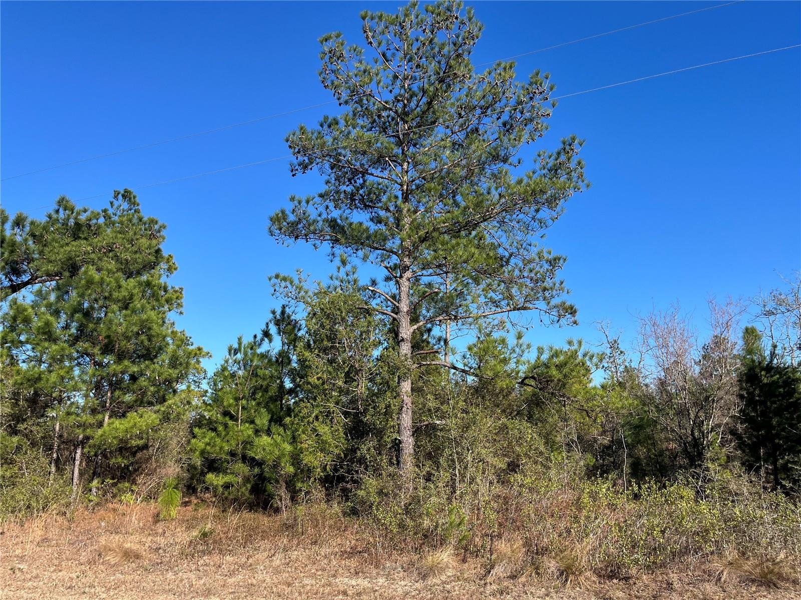 COMPASS LAKE HILLS - Land