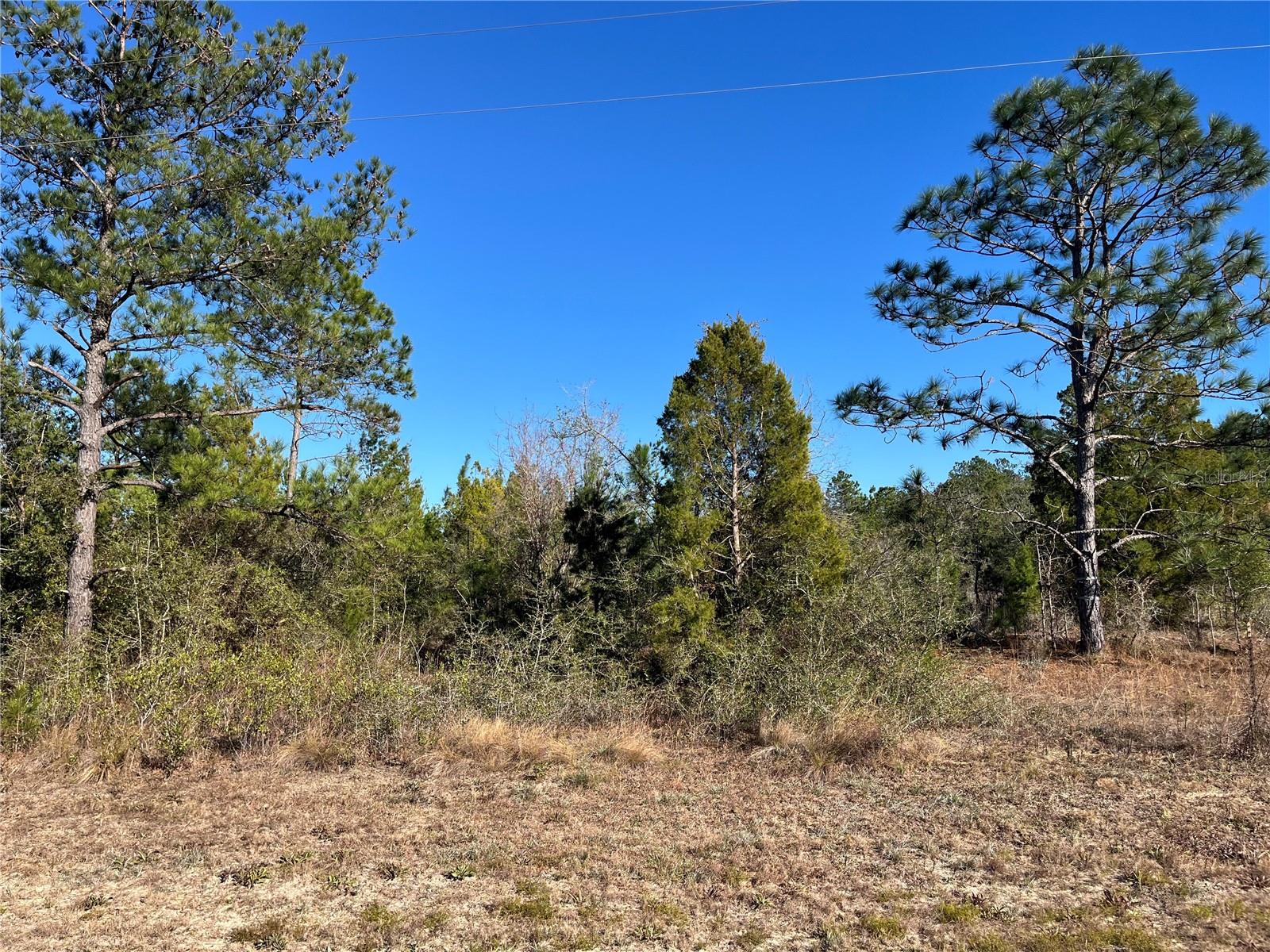Don't miss out on this wooded 1.2-acre residential lot in Compass Lake in the Hills just outside of Marianna, FL. This lot would be the perfect site for your dream home. It is close to beautiful Compass Lake which is a haven for boating, skiing, fishing, and swimming. Compass Lake in the Hills also has a club house with restaurant, tennis courts, swimming pool, picnic areas, business center, etc. This lot is located in close proximity to Hwy 231 and is about 45 to Panama City and about an hour to the Gulf Coast and its beautiful beaches! This is great opportunity to invest in the growing panhandle of Northwest Florida. FOR DIRECTIONAL PURPOSES 417 FAIRVIEW RD