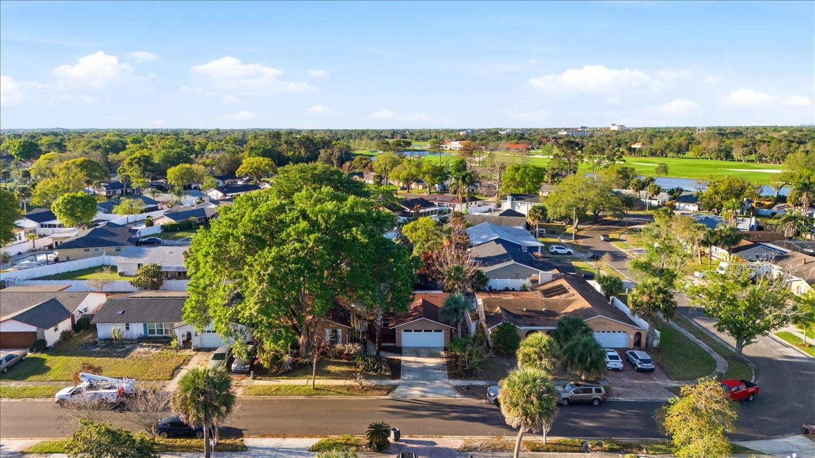 WINTER WOODS - Residential