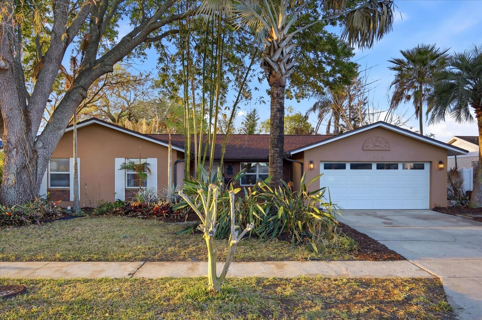 WINTER WOODS - Residential