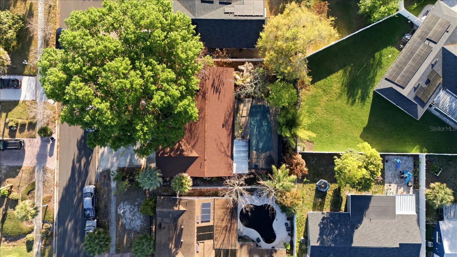 WINTER WOODS - Residential