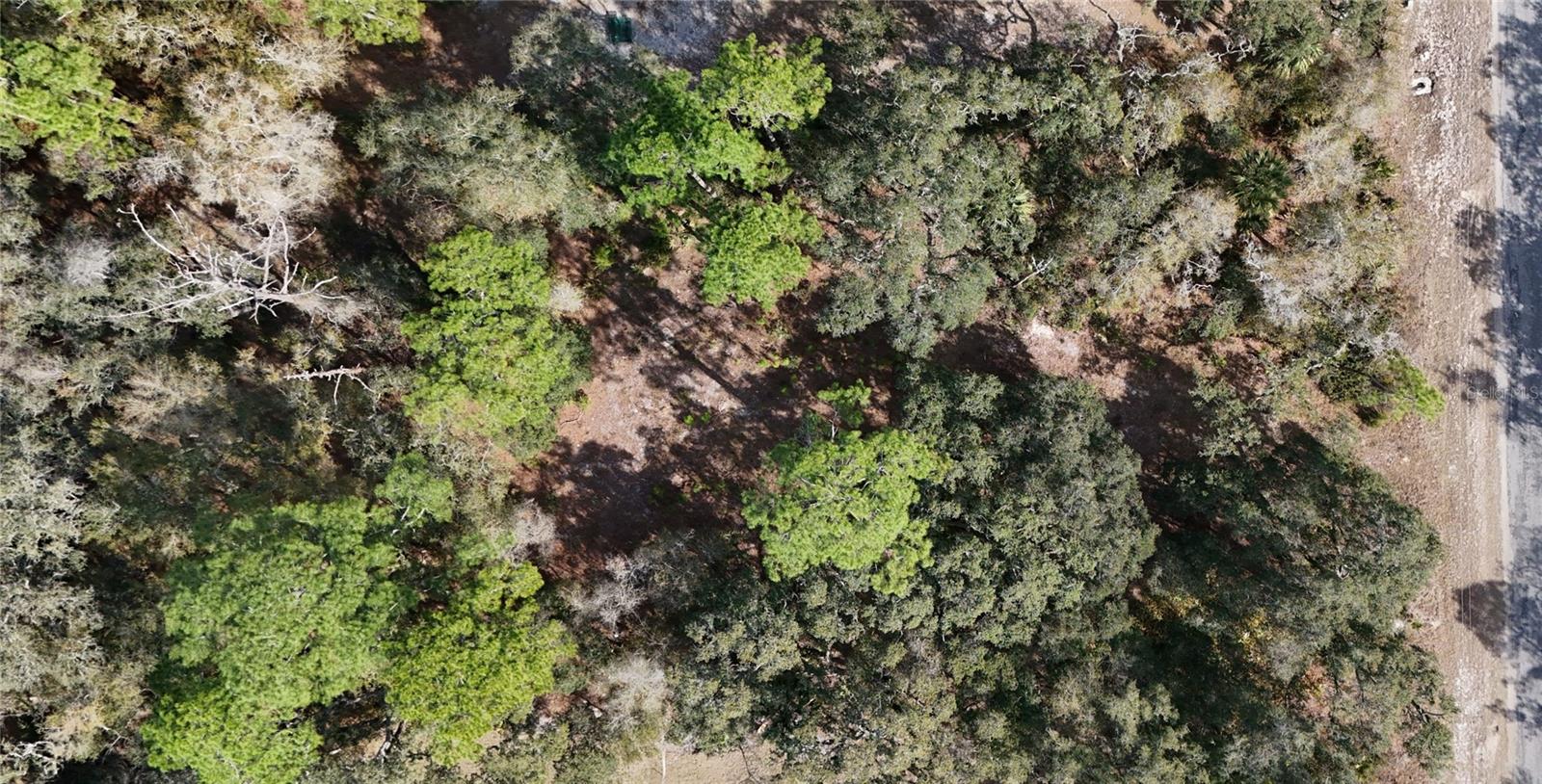 30553 SAFFRON AVENUE