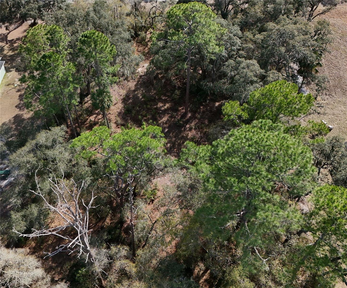 30553 SAFFRON AVENUE