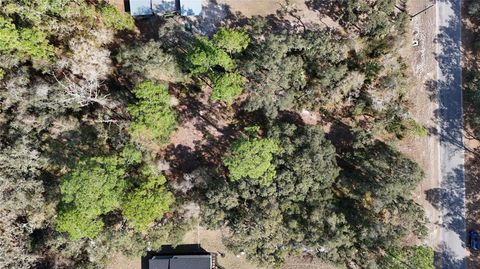 30553 SAFFRON AVENUE EUSTIS FL 32736