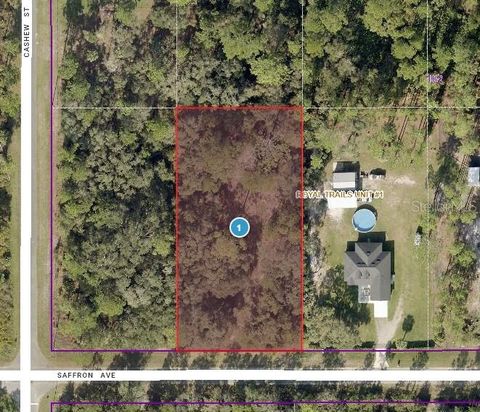 30553 SAFFRON AVENUE EUSTIS FL 32736