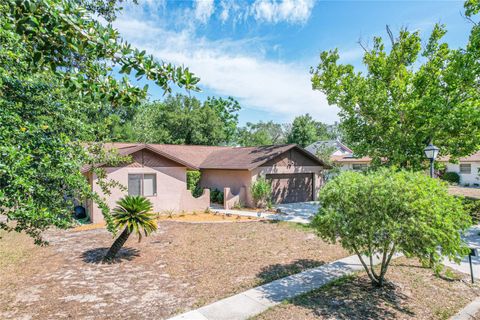 A home in ORLANDO