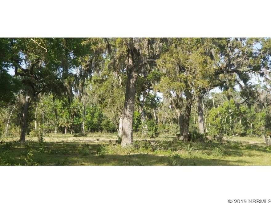 This 5 acre property has to be the most beautiful lot available in New Smyrna Beach! Feels like country living but on a paved road and close to shopping, dining and the beach! Build your dream home and bring your horses, cows, goats and chickens. Property in the process of being subdivided and currently is fenced with cows.; Cleared: Partial ;Water: Available at Site