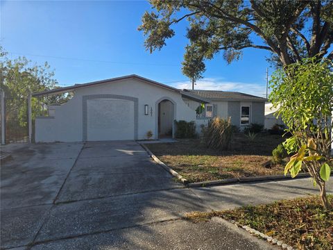 1003 PAPAYA DRIVE TAMPA FL 33619