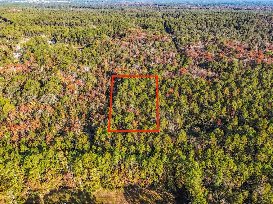 1.13 acres located in Palatka! Let this be the perfect spot for your next home!