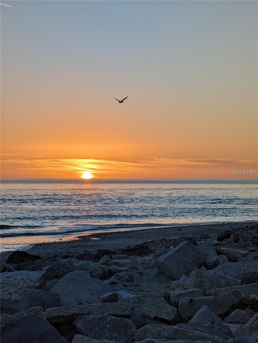 PINE LAKE DEV - Residential