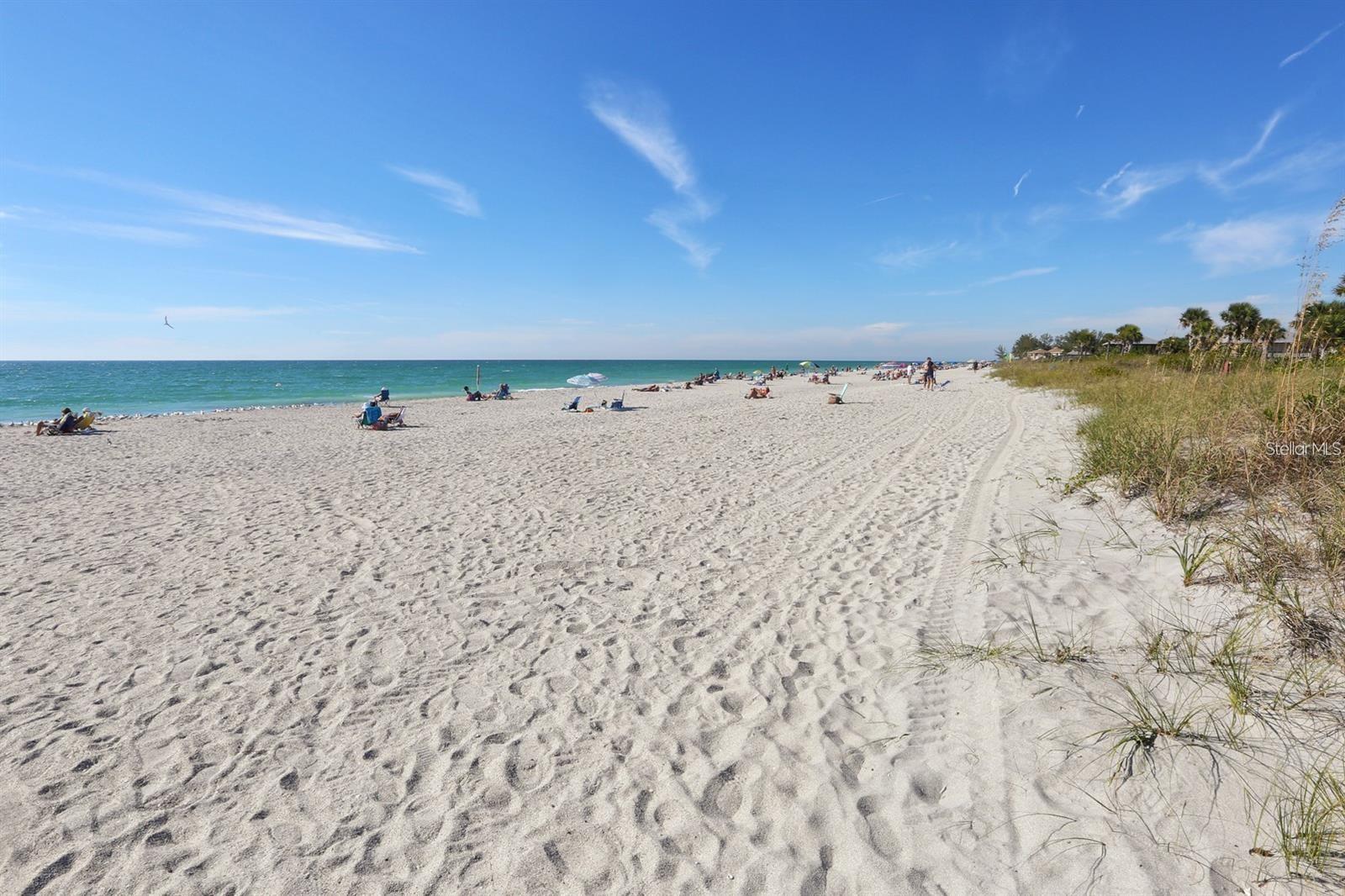 PINE LAKE DEV - Residential